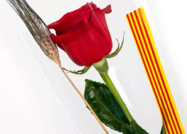 Rosas de Aludme Dystonia para el día de Sant Jordi cargadas de solidaridad