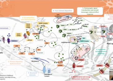 Distonía infantil y ciencia: un futuro que se construye con conocimiento