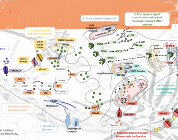 Publicación Anna Marcé