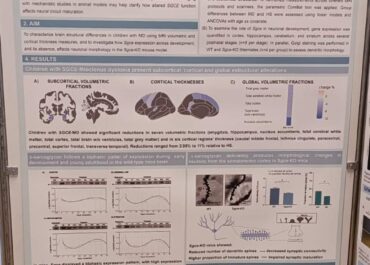 Aludme Dystonia destaca nuevos avances en investigación sobre distonía mioclónica en el encuentro Neuro&Rare 2026