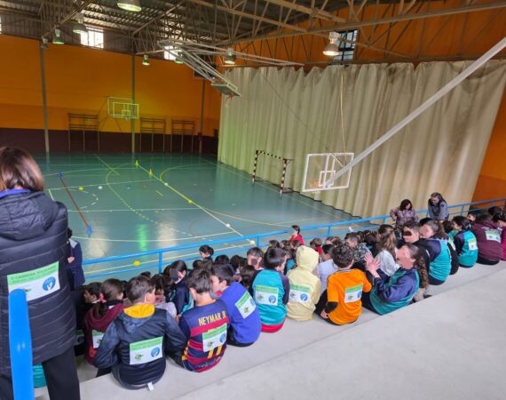 Carrera solidaria Colegio Valleseco