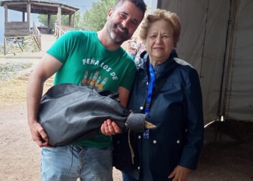 Poblete también se mueve por la distonía