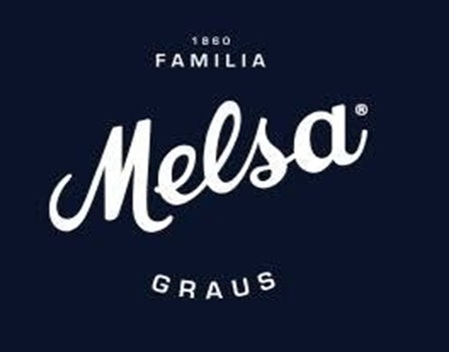 Logo Melsa - copia