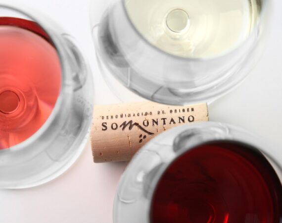 Vinos-DO-SOMONTANO